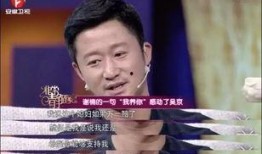 谢楠吴京爆料臭料视频,娱乐圈背后的真实故事